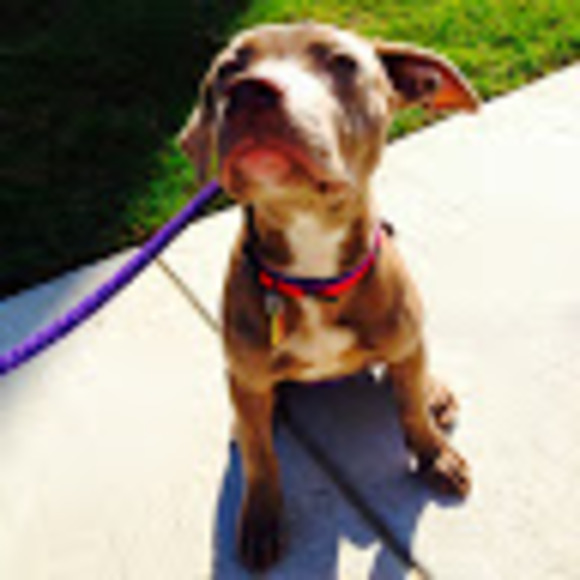 Meet your Posher, Emily - Picture 2 of 7